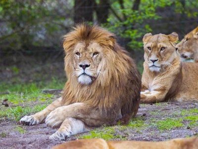 ©Serengeti-Park Hodenhagen