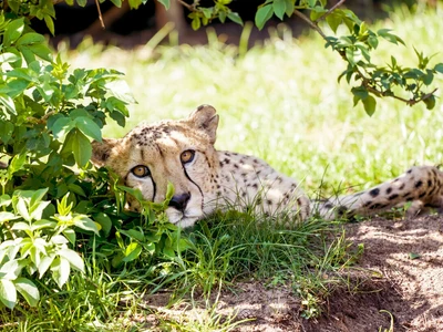 ©Serengeti-Park Hodenhagen