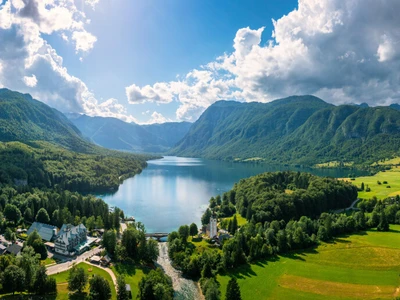 ©daliu.stock.adobe.com