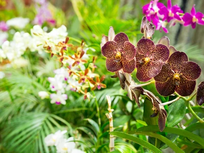 ©Nomad_Soul.stock.adobe.com