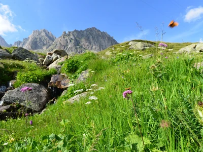 ©Ilhan Balta.stock.adobe.com