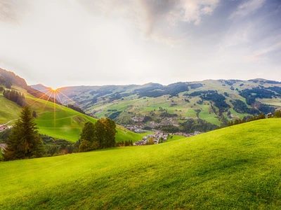 ©mdworschak.stock.adobe.com