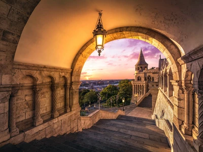 ©Gergo Csorba.stock.adobe.com