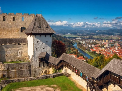 ©larauhryn -stock.adobe.com