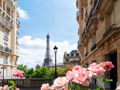 ©neirfy.stock.adobe.com