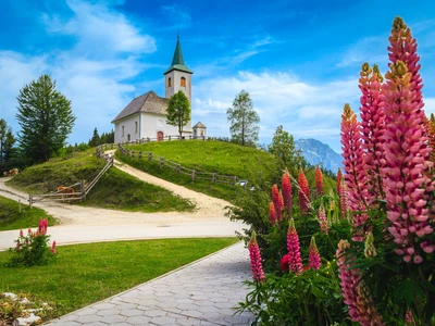 ©janoka82 -stock.adobe.com