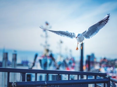 ©Florian Kunde.stock.adobe.com