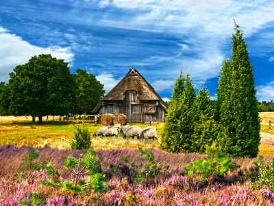 ©Gabriele Rohde.stock.adobe.com