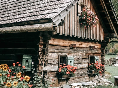 ©TomKlar.stock.adobe.com