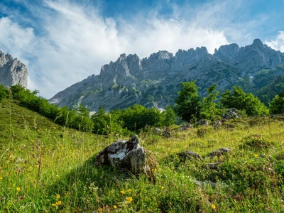 ©Wolfgang Hauke.stock.adobe.com