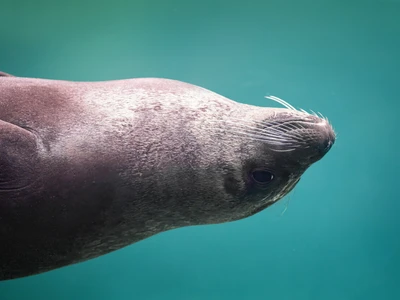 ©diegograndi.stock.adobe.com
