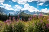 Traumlandschaft Hohe Tatra
